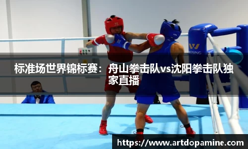 标准场世界锦标赛：舟山拳击队vs沈阳拳击队独家直播