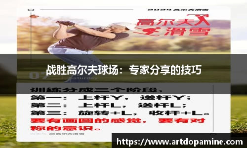 DG视讯