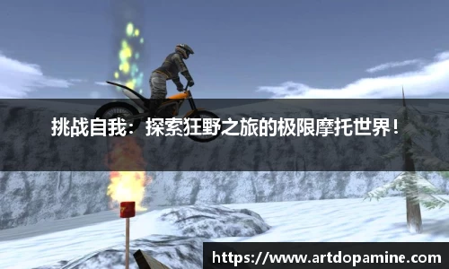 DG视讯